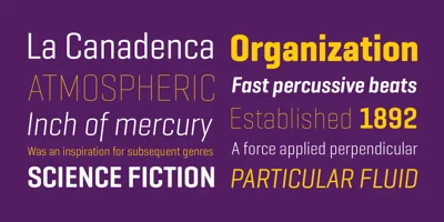 Geogrotesque Condensed Series Font