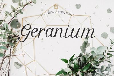 Geranium Font Free Download