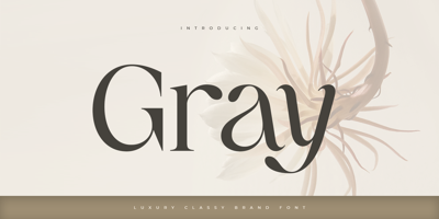 Gray Free Download