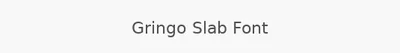 Gringo Slab Font