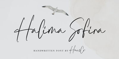 Halima Sofira Free Download