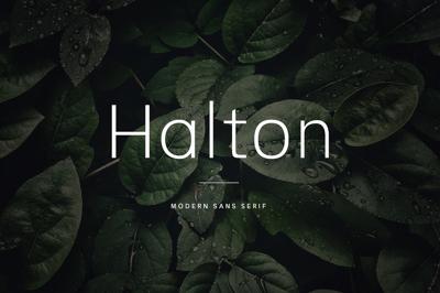 Halton - Modern Sans Serif Typeface Free Download