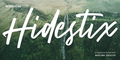 Hidestix Free Download