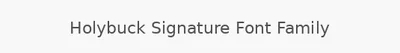 Holybuck Signature Font Family