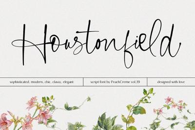 Houstonfield//Modern Script Font Free Download