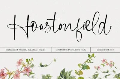 Houstonfield//Modern Script Font