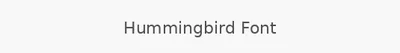 Hummingbird Font