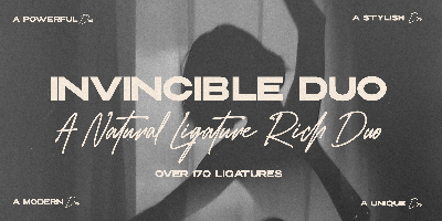 Invincible Duo Script Free Download