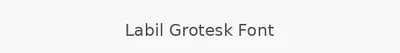 Labil Grotesk Font