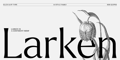 Larken Font