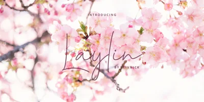 Laylin Font