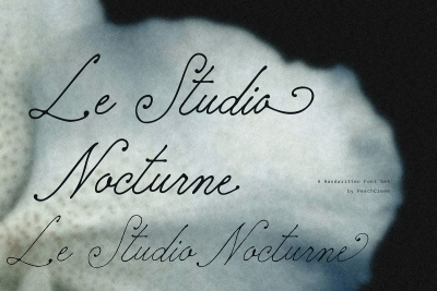 Le Studio Nocturne // Nostalgic Set Font