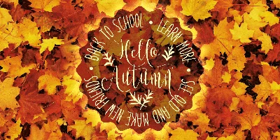 Lets get crazy Font