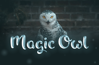 Magic Owl - An enchanting Typeface Free Download