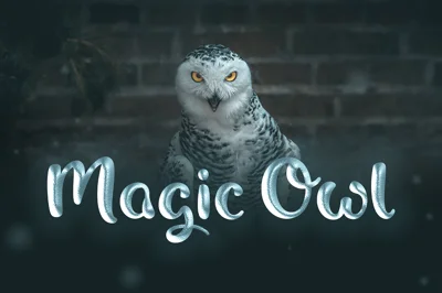 Magic Owl - An enchanting Typeface