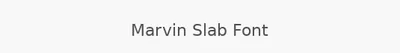 Marvin Slab Font