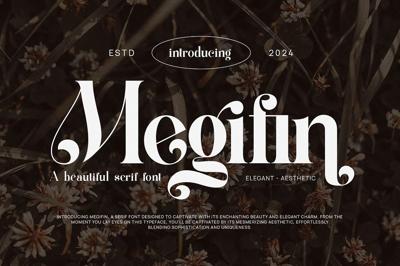 Megifin Beautiful Ligature Serif Free Download