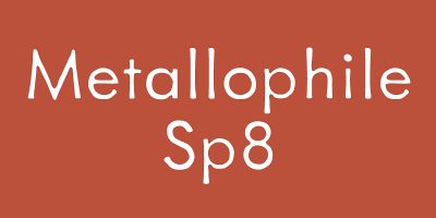 Metallophile Sp8 Font