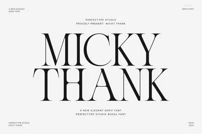 Micky Thank Minimalist Serif Font