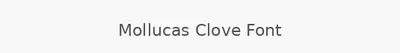 Mollucas Clove Font