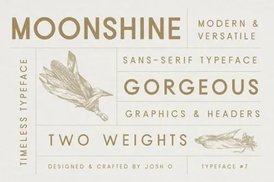 Moonshine Font | Classic Sans Serif Free Download