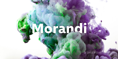 Morandi Free Download