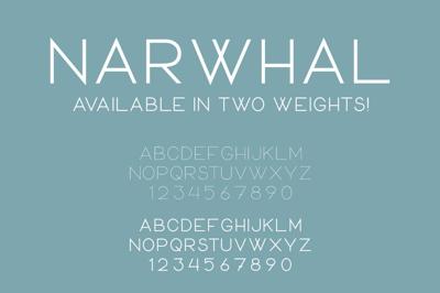 Narwhal Free Download