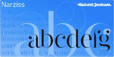 Narziss Font