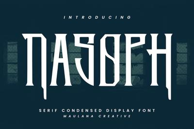 Nasoph Serif Condensed Display Font Free Download