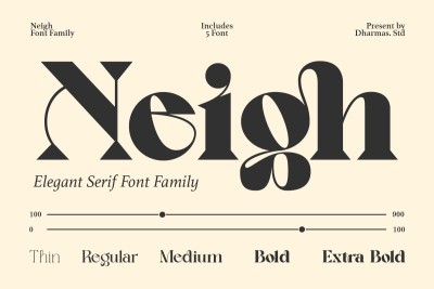 Neigh - Modern Luxury Logo Font