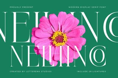 Nelhinco Modern Display Serif Font