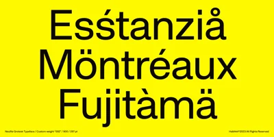 Neufile Grotesk Font