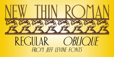 New Thin Roman JNL Free Download