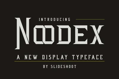 Noodex Display Serif Font Free Download