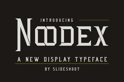 Noodex Display Serif Font