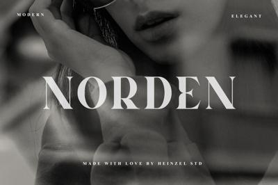 Norden Modern All Caps Serif Font Free Download