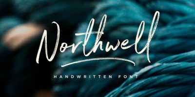 Northwell Font