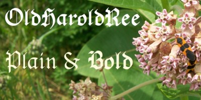 OldHaroldRee Font