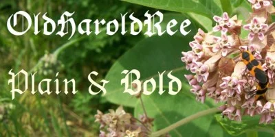 OldHaroldRee Font