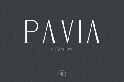 Pavia Free Download