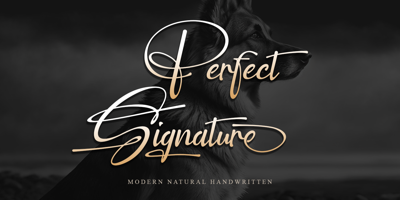 Perfect Signature Free Download