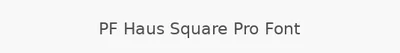 PF Haus Square Pro Font