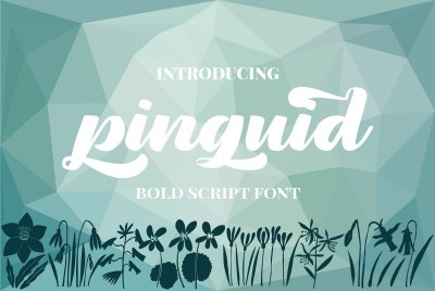 Pinguid | Bold Script Fonts