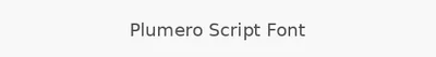 Plumero Script Font