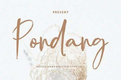 Pondang Brush Font