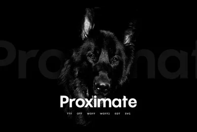 Proximate - Modern Typeface