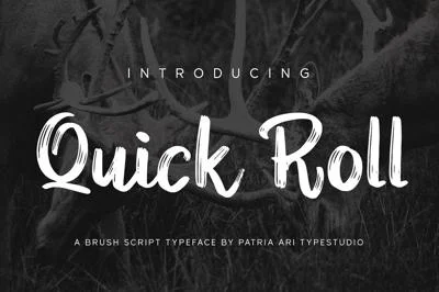 Quick Roll - Brush Script Fonts