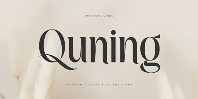 Quning Free Download