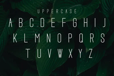 Rameena Font