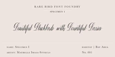 Rare Bird Specimen I Free Download